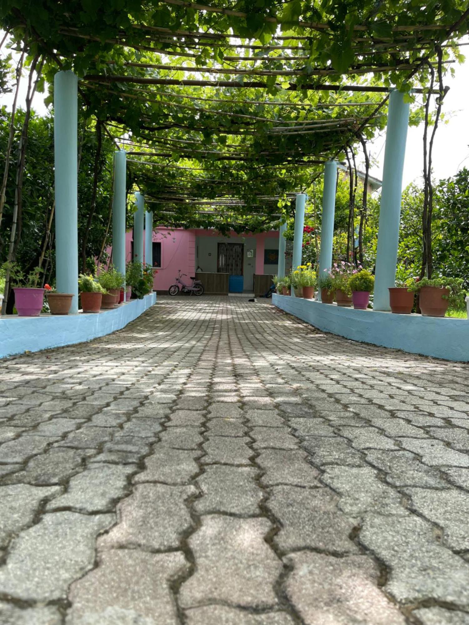 Villa Mance Berat Exteriér fotografie